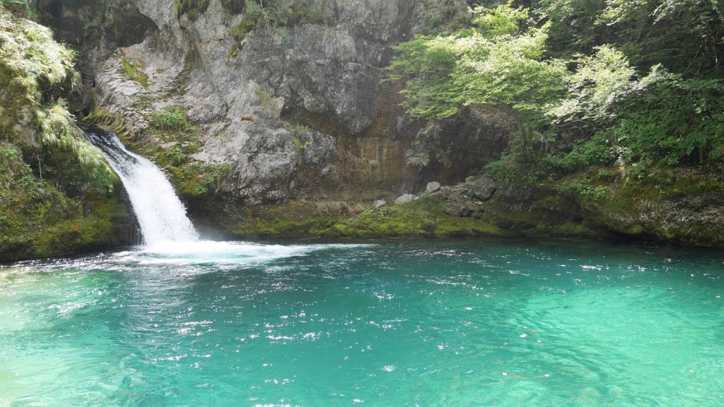 Turquoise pool and forest on the Blue Eye Theth hike