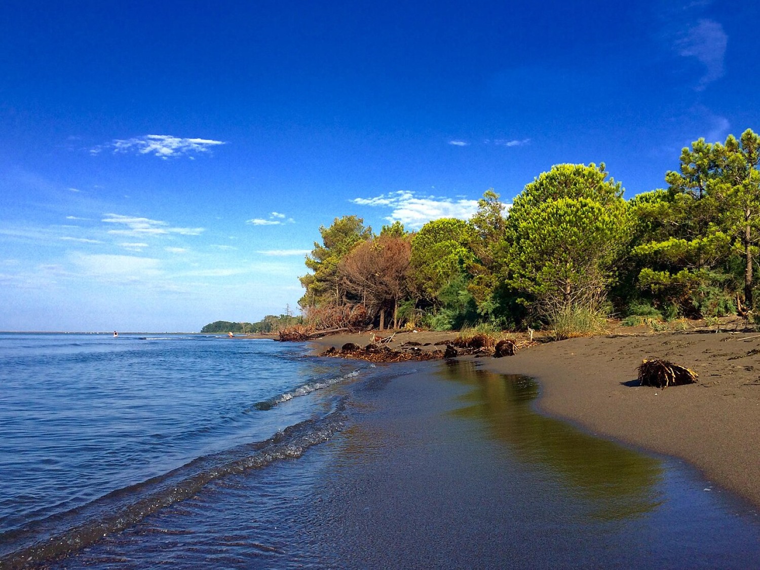 Velipojë Beach Albania — wide sandy Adriatic shore at the mouth of the Buna River near Montenegro